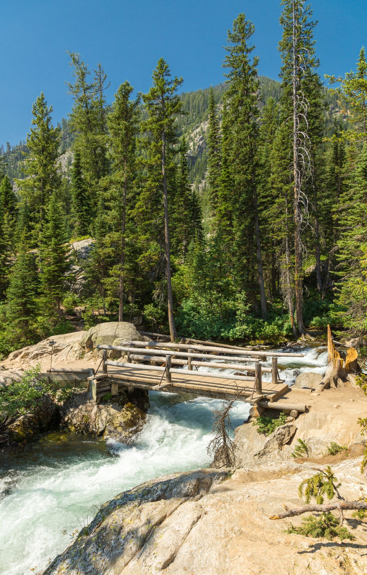 Grand Teton - Gallery thumbnail 6