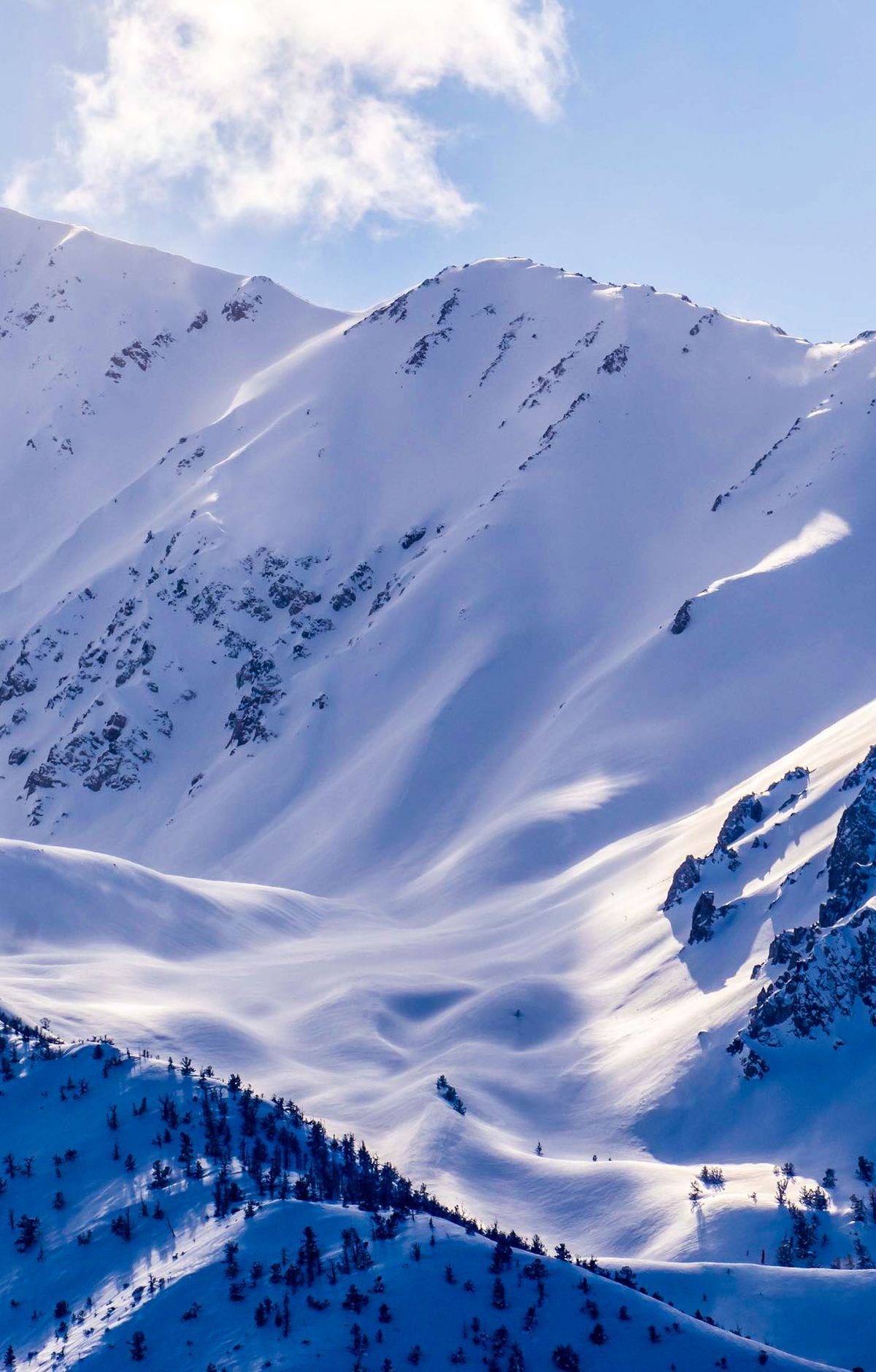 Mount Rainier - Gallery thumbnail 9