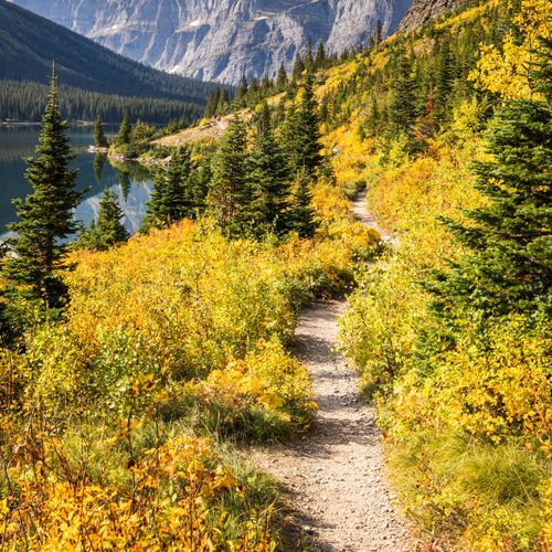 Grinnell Lake Trail
