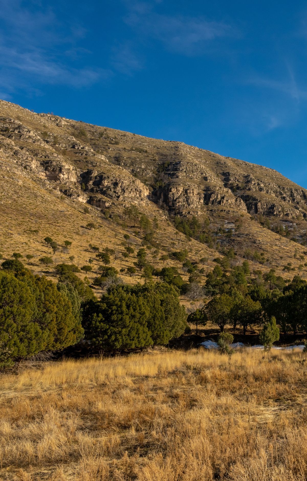 Reaching Dog Canyon and the Remote Edges, Guadalupe Mountains National Park