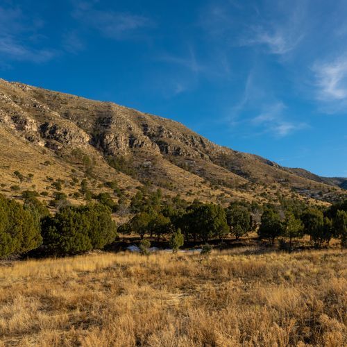 Dog Canyon