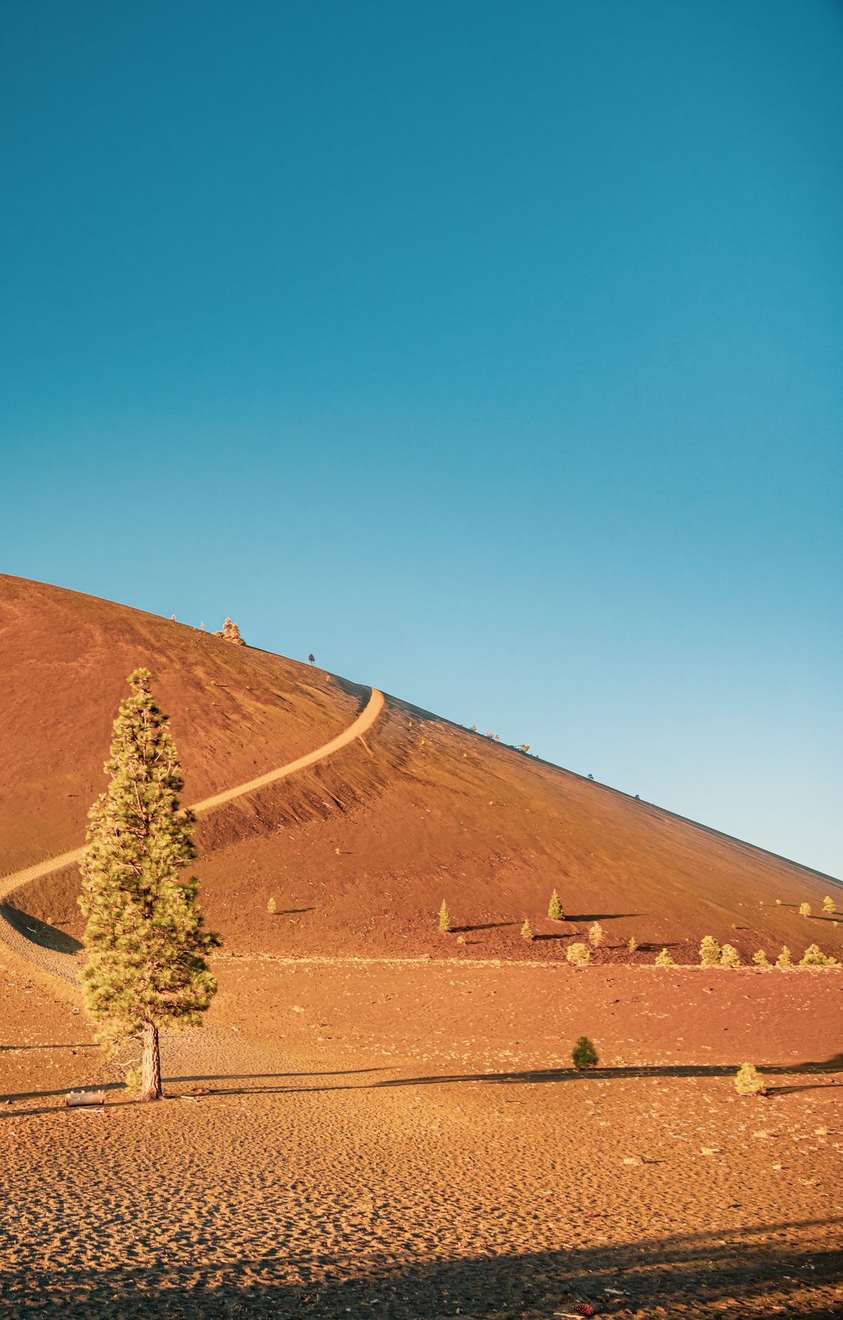 Butte Lake, Cinder Cone and the Nobles Emigrant Trail, Lassen Volcanic National Park