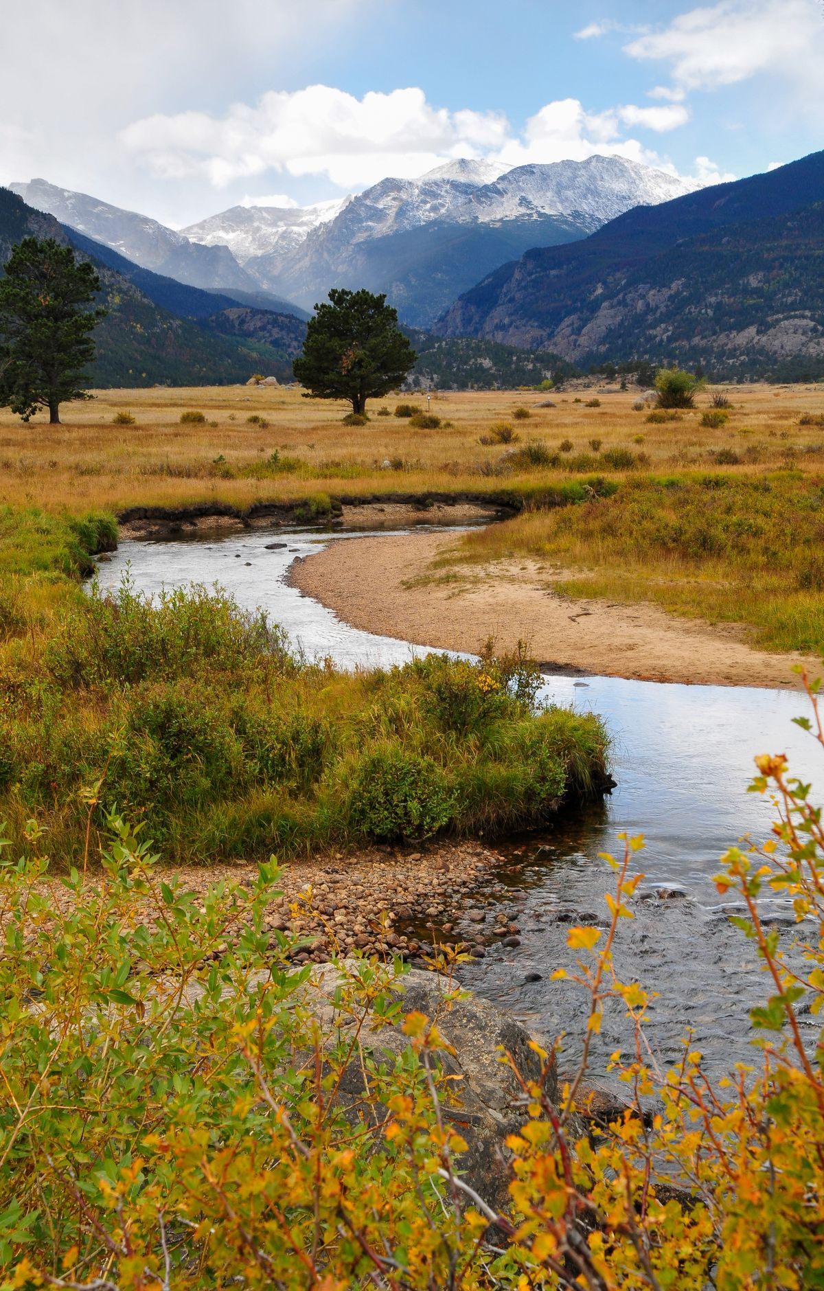 Moraine Park Camping and the Bear Lake Shuttle, Rocky Mountain National Park