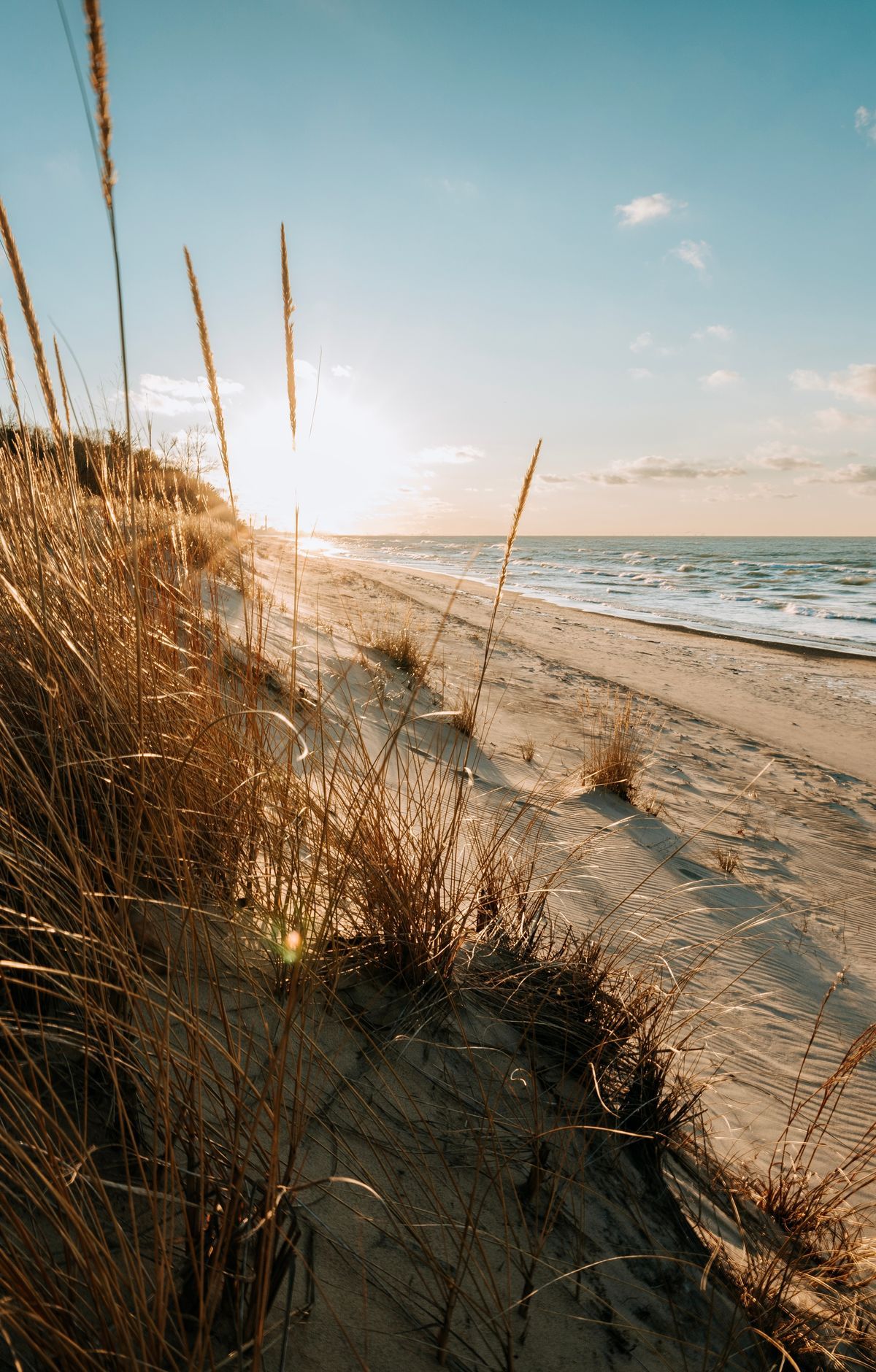 How Lake Michigan Built the Indiana Dunes, Indiana Dunes National Park