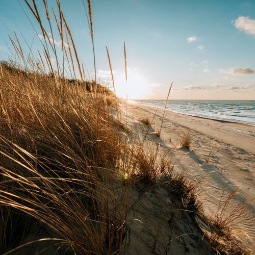 Indiana Dunes