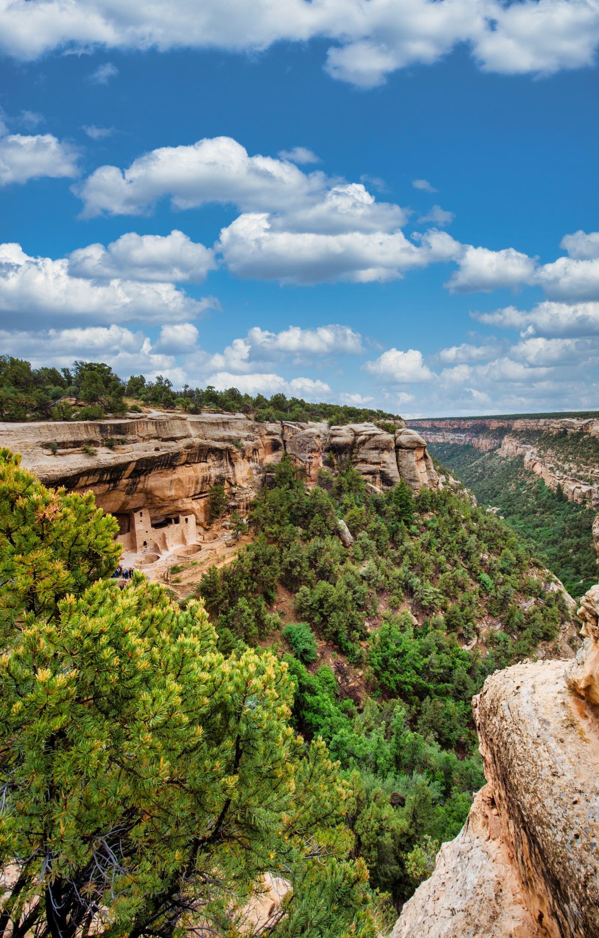 Mesa Verde - Gallery thumbnail 4