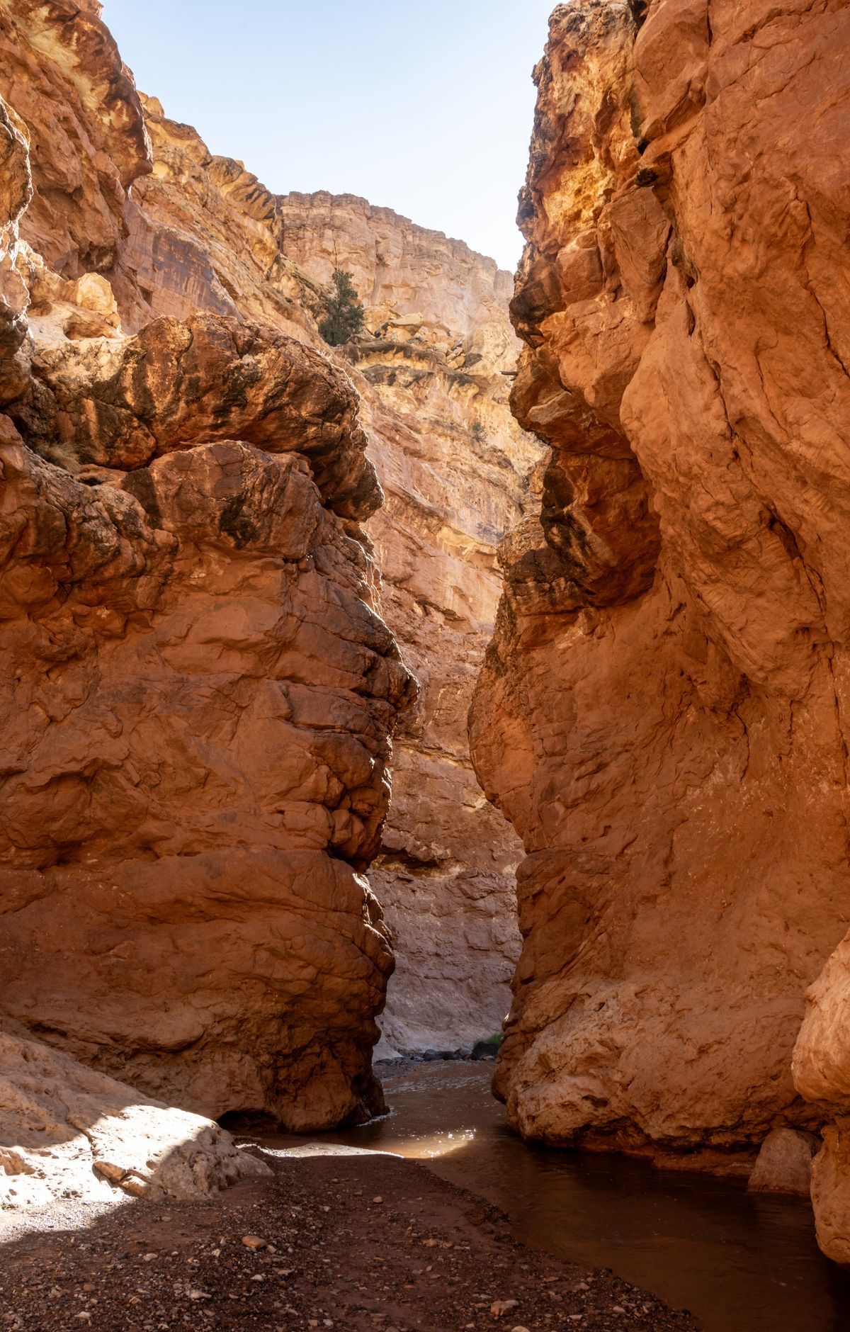 Capitol Reef - Gallery thumbnail 3