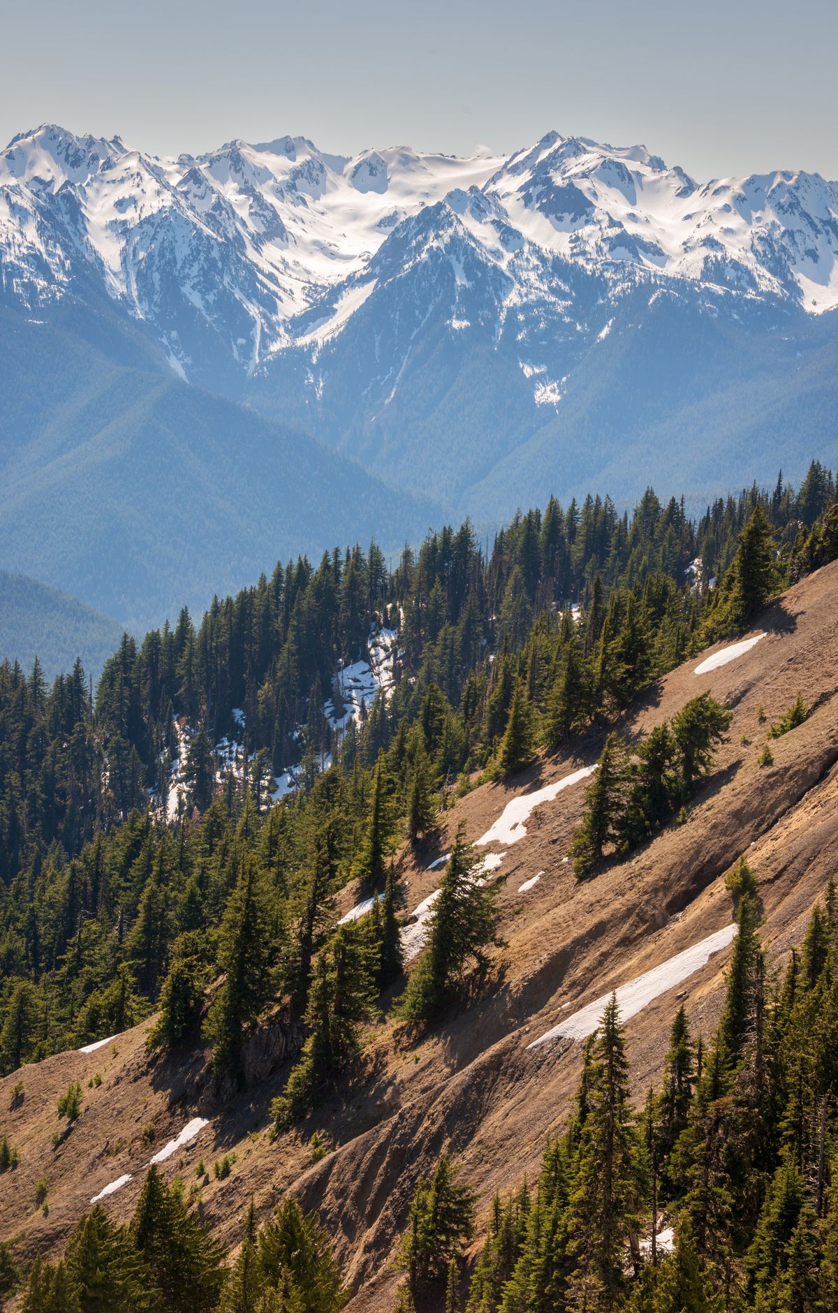 Olympic's Seasons: Summer Trails to Winter Snow, Olympic National Park