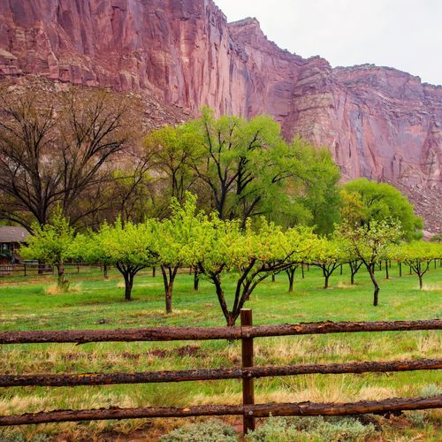 Fruita Historic District