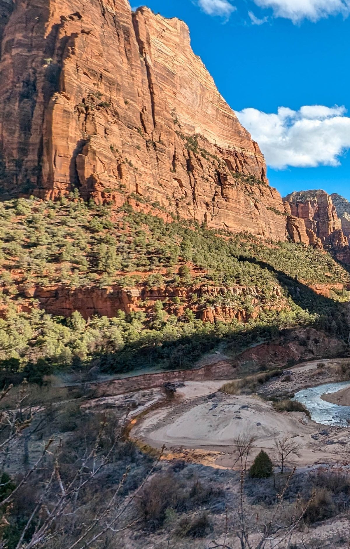 Stargazing from the Pa'rus Trail and Checkerboard Mesa, Zion National Park