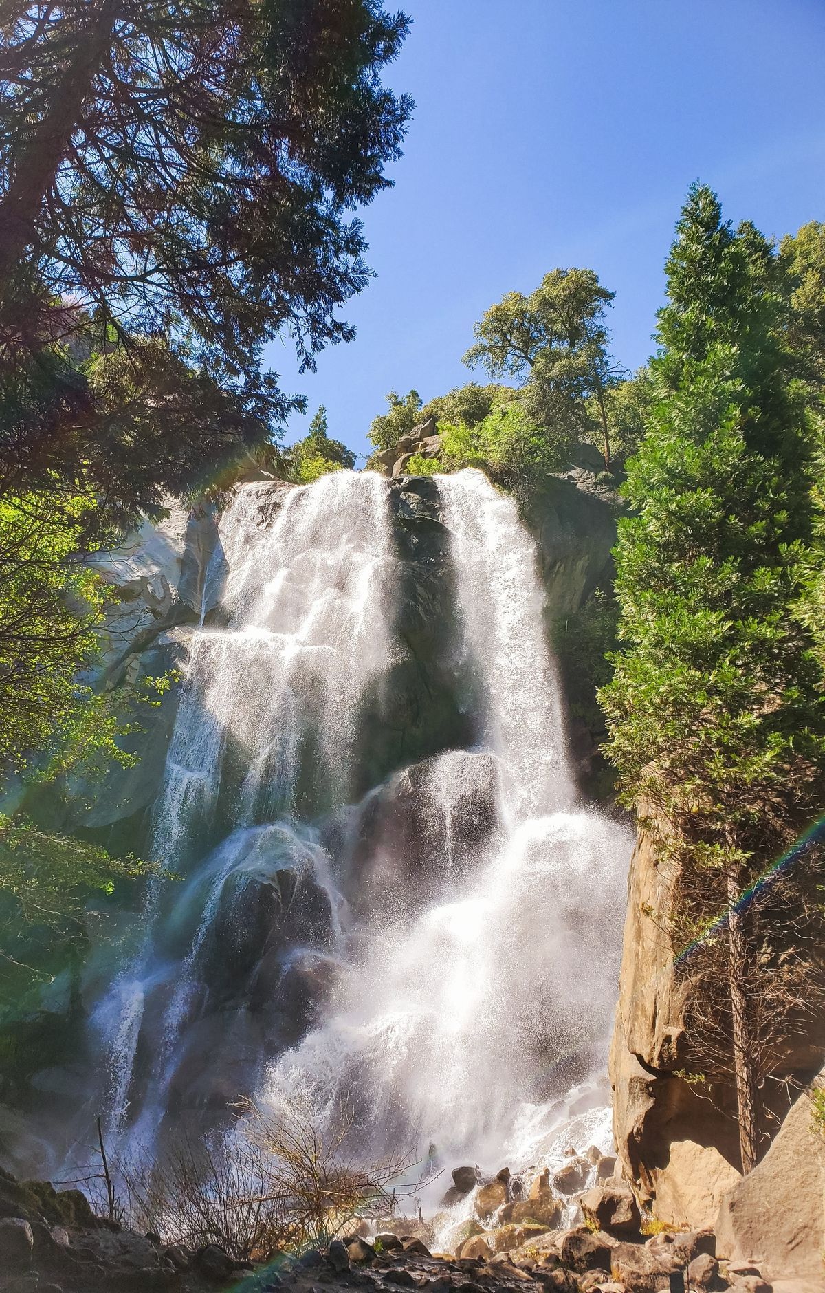 Sequoia & Kings Canyon - Gallery thumbnail 4