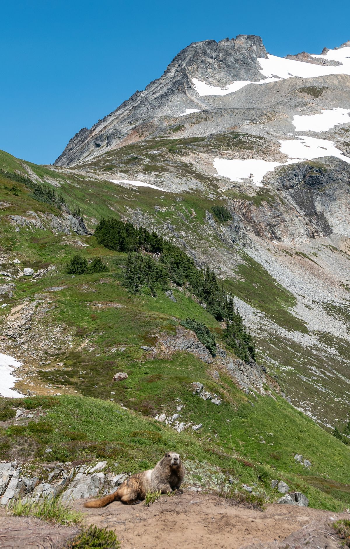 North Cascades - Gallery thumbnail 4