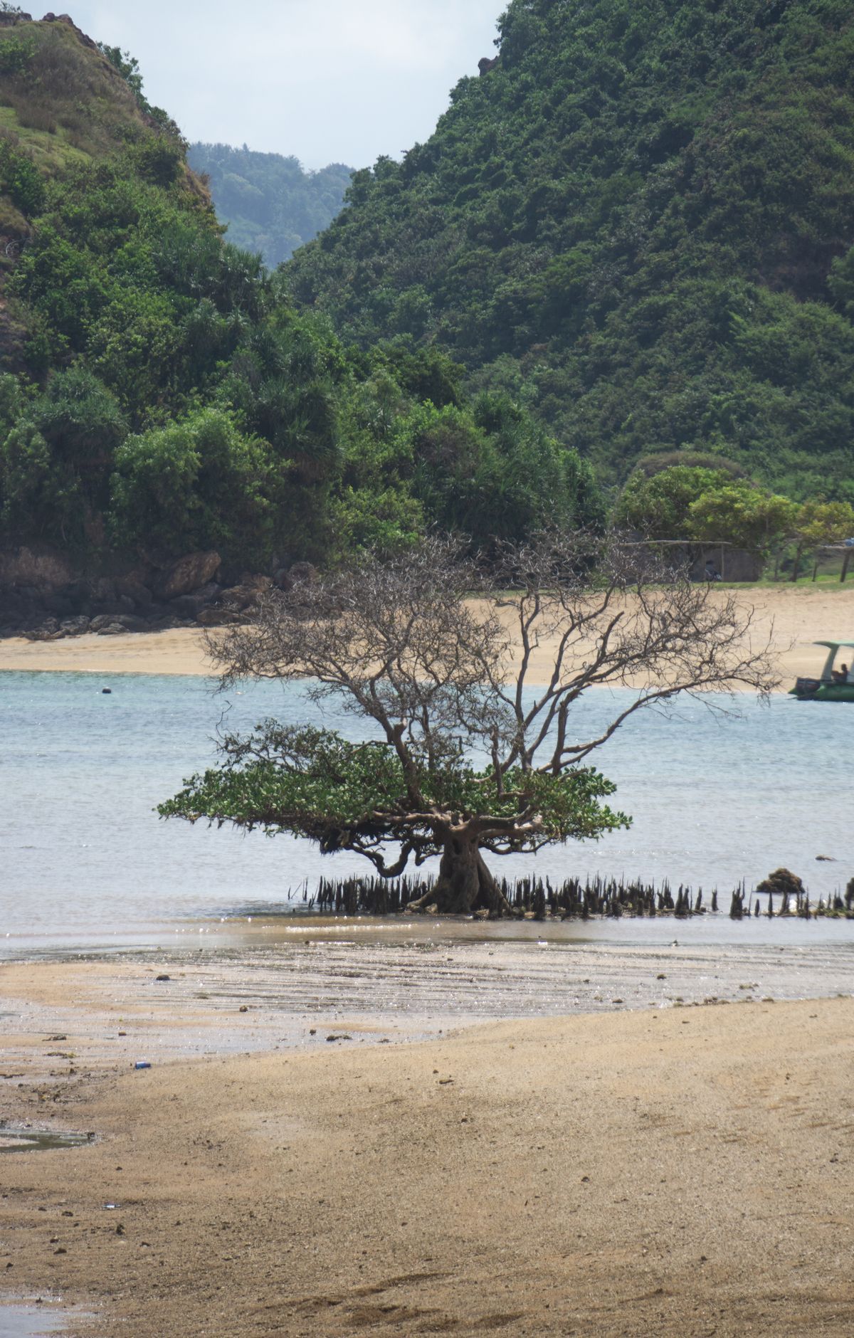 Virgin Islands - Gallery thumbnail 7