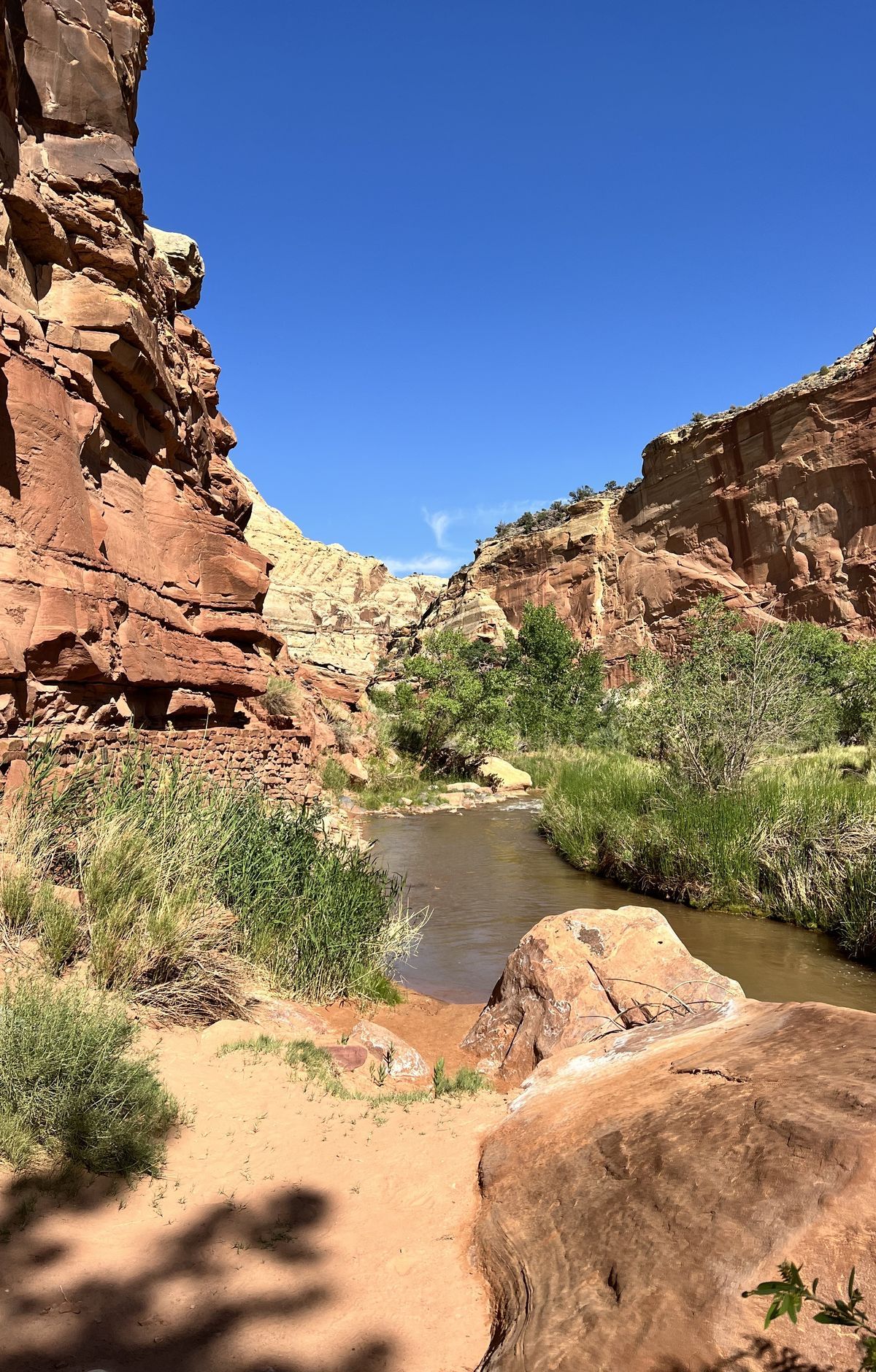 Capitol Reef - Gallery thumbnail 7