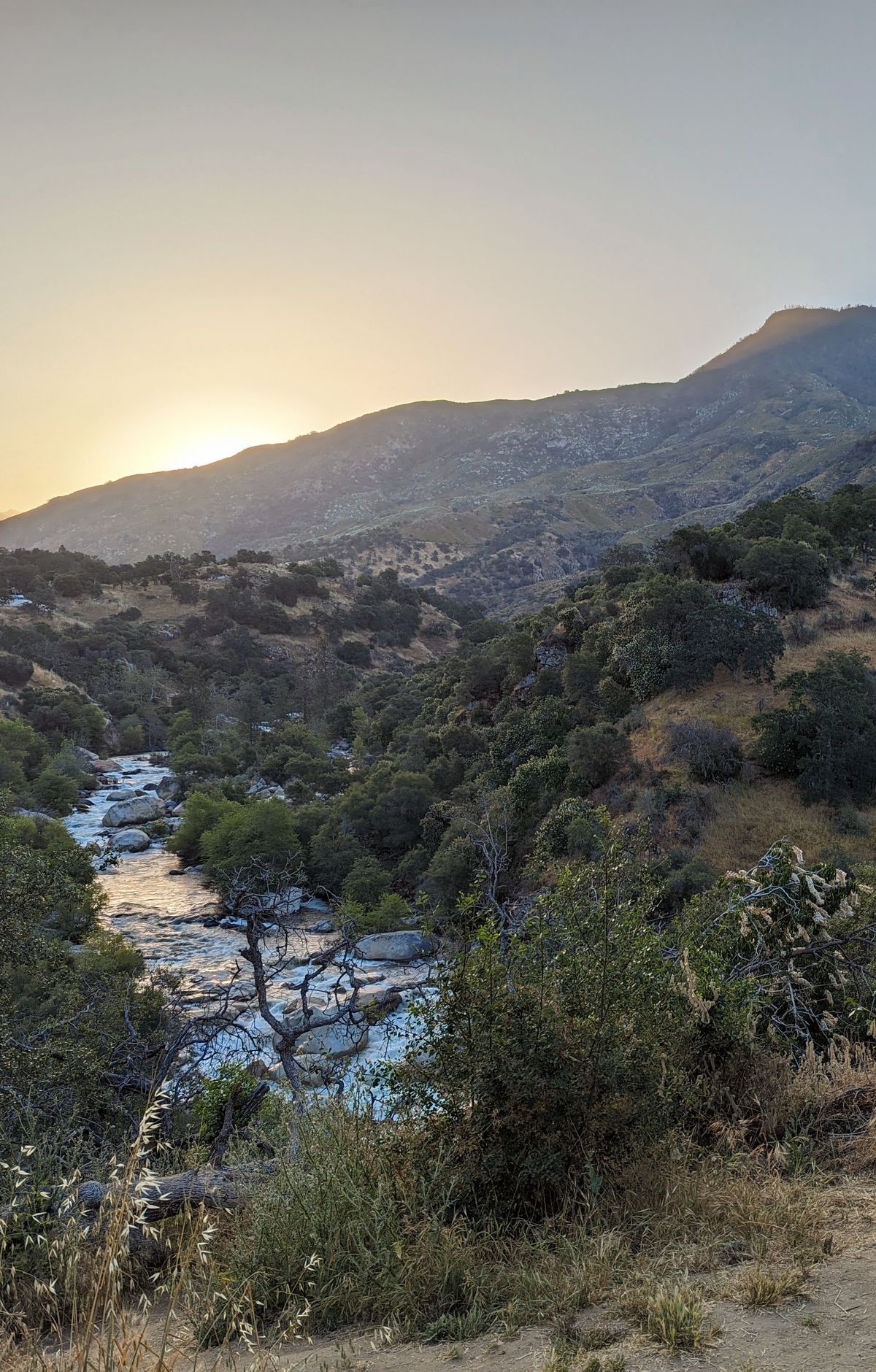 Monache and Yokuts: First Peoples of the Southern Sierra, Sequoia & Kings Canyon National Parks