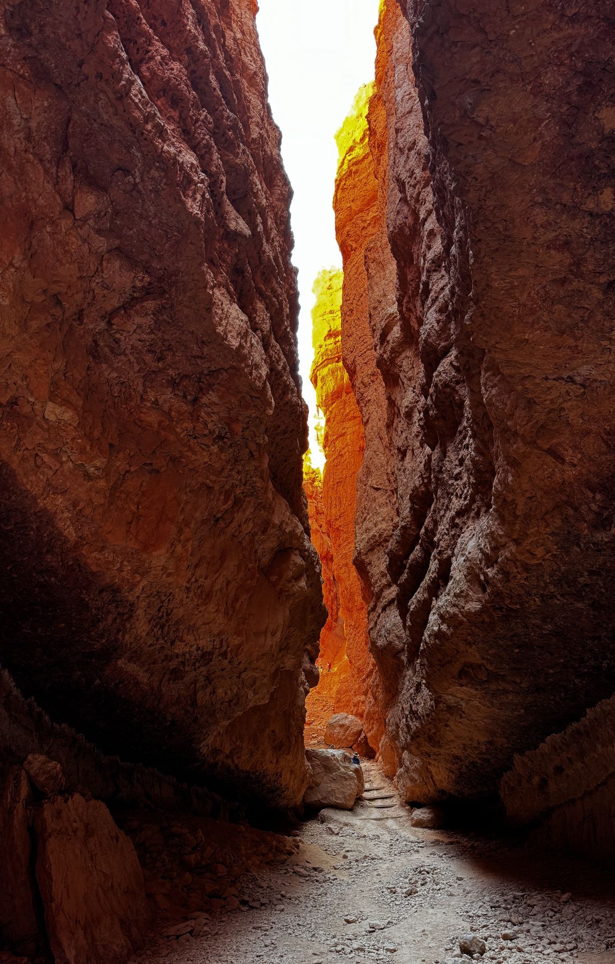 Bryce Canyon - Gallery thumbnail 6