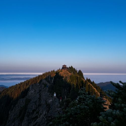 Tolmie Peak Trail