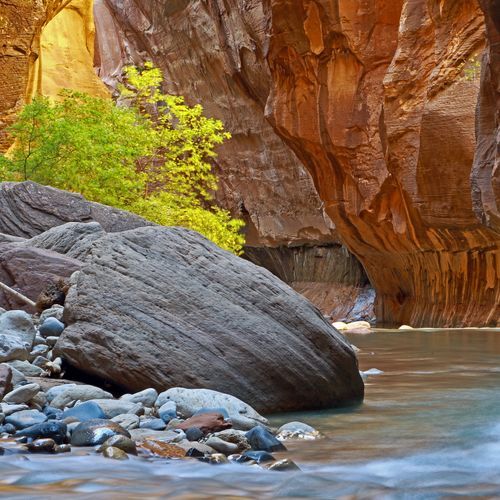 Zion Canyon