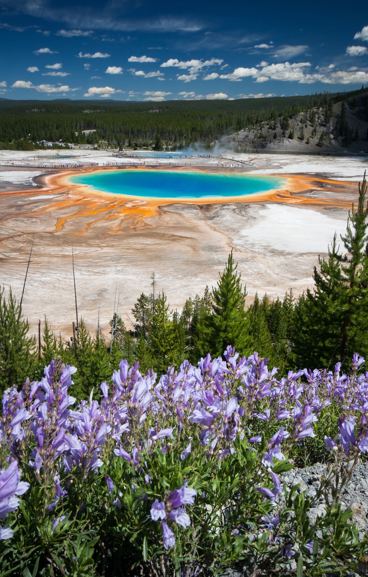 Yellowstone - Gallery thumbnail 2
