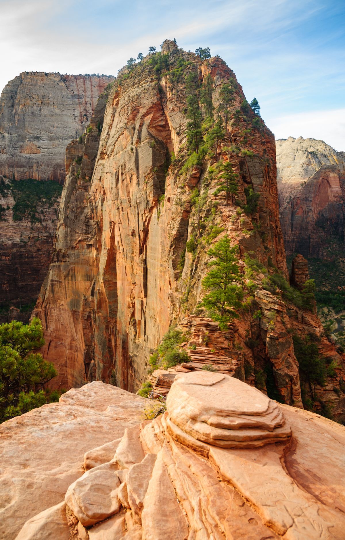 Zion - Gallery thumbnail 8