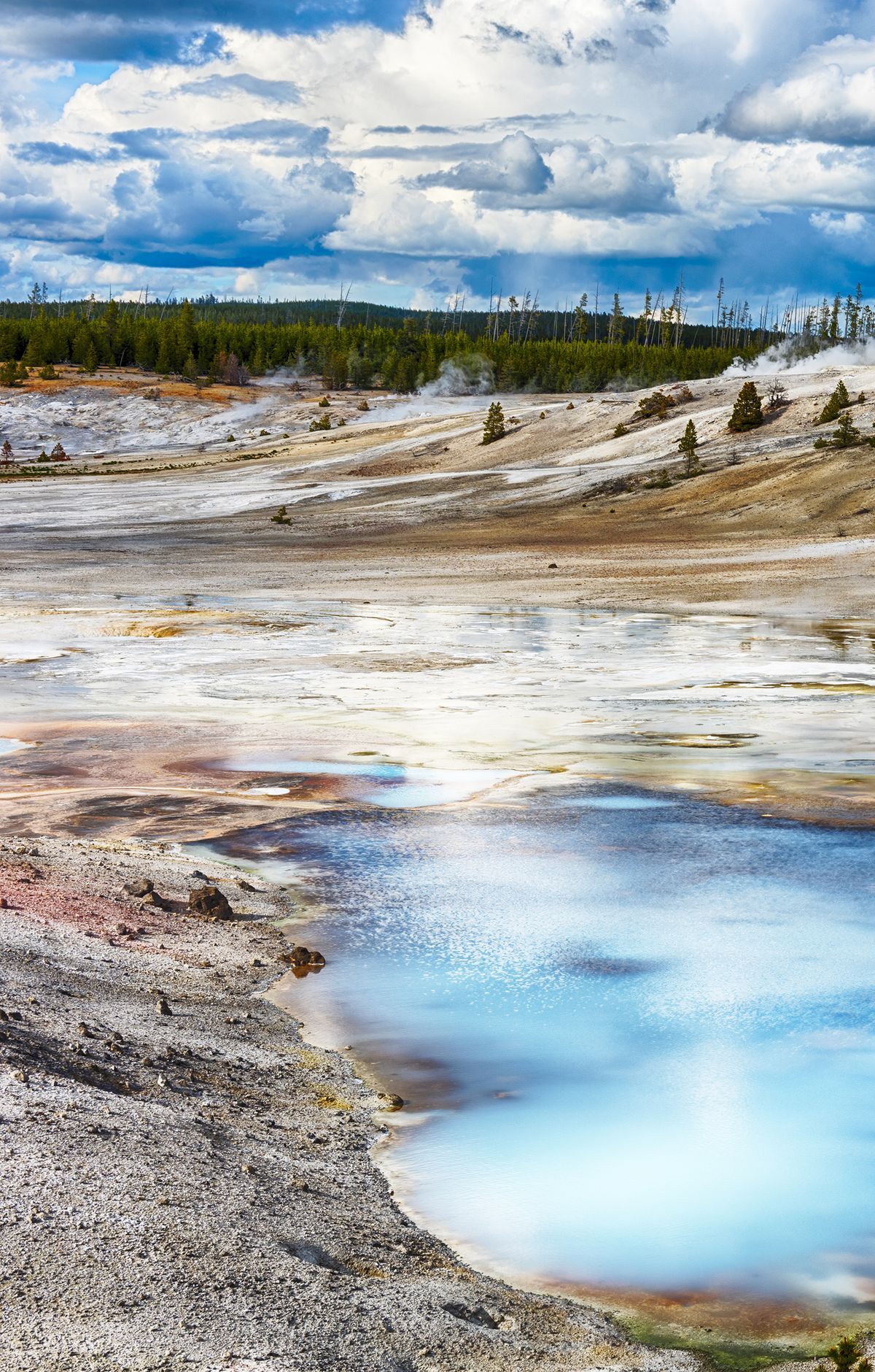 Norris Geyser Basin: Steamboat and Porcelain Basin, Yellowstone National Park