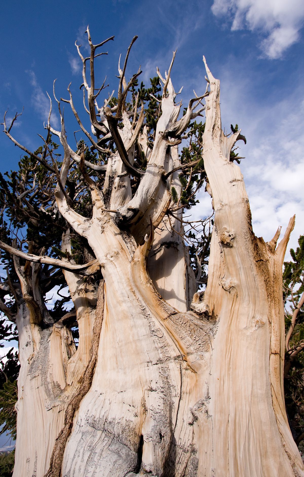 Great Basin - Gallery thumbnail 2