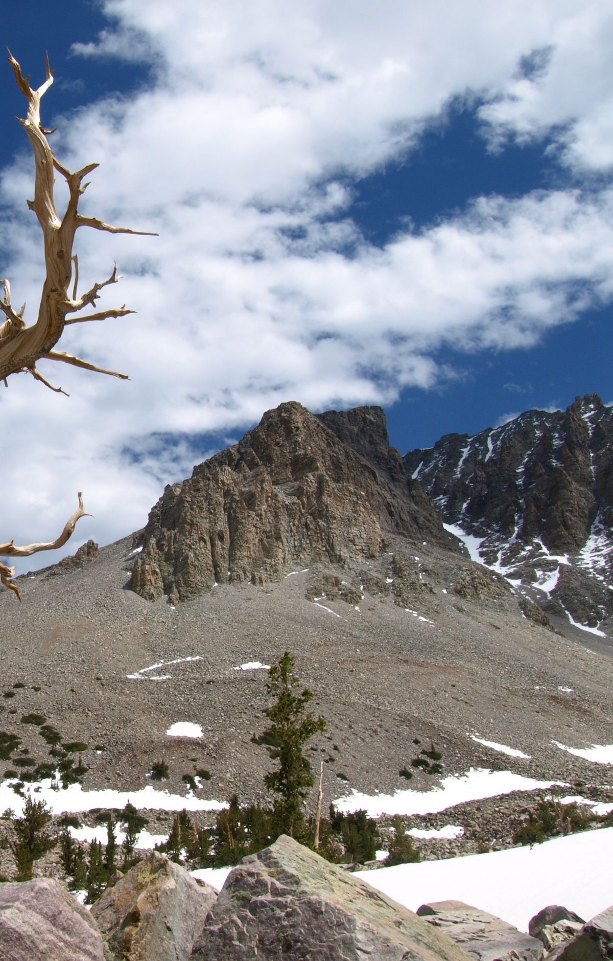 When Campgrounds Fill: Dispersed High-Desert Camping, Great Basin National Park