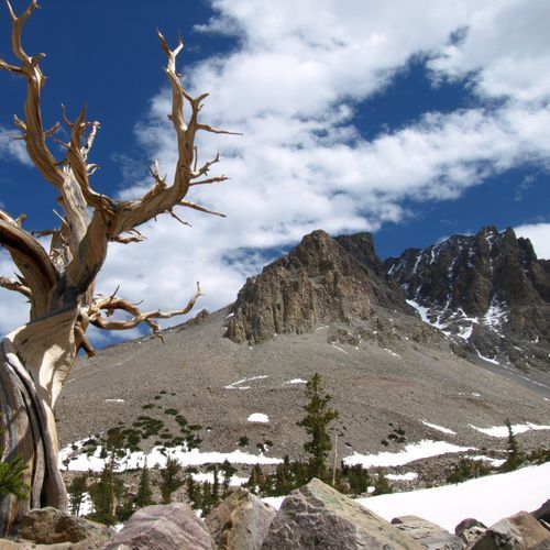 Great Basin