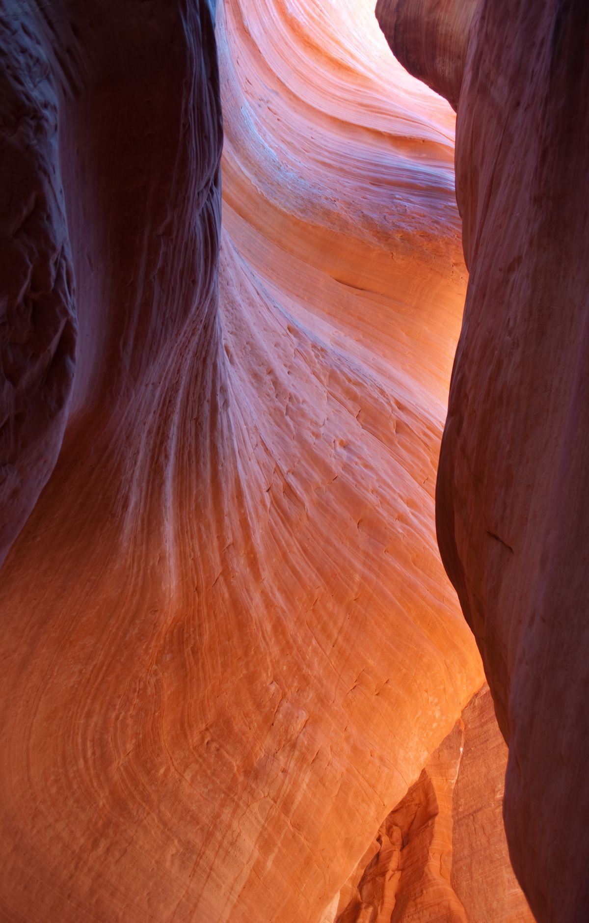 Zion - Gallery thumbnail 9