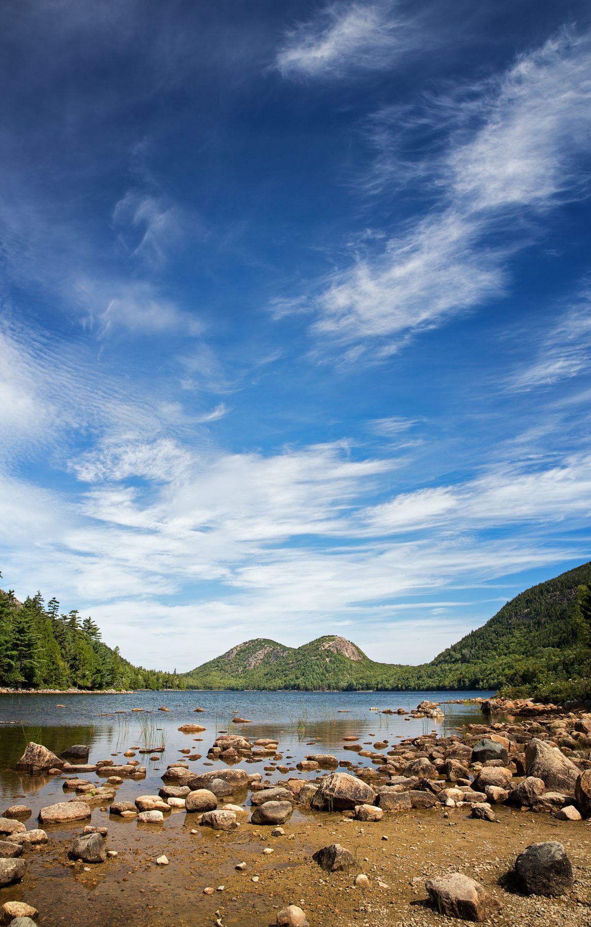 Acadia - Gallery thumbnail 7