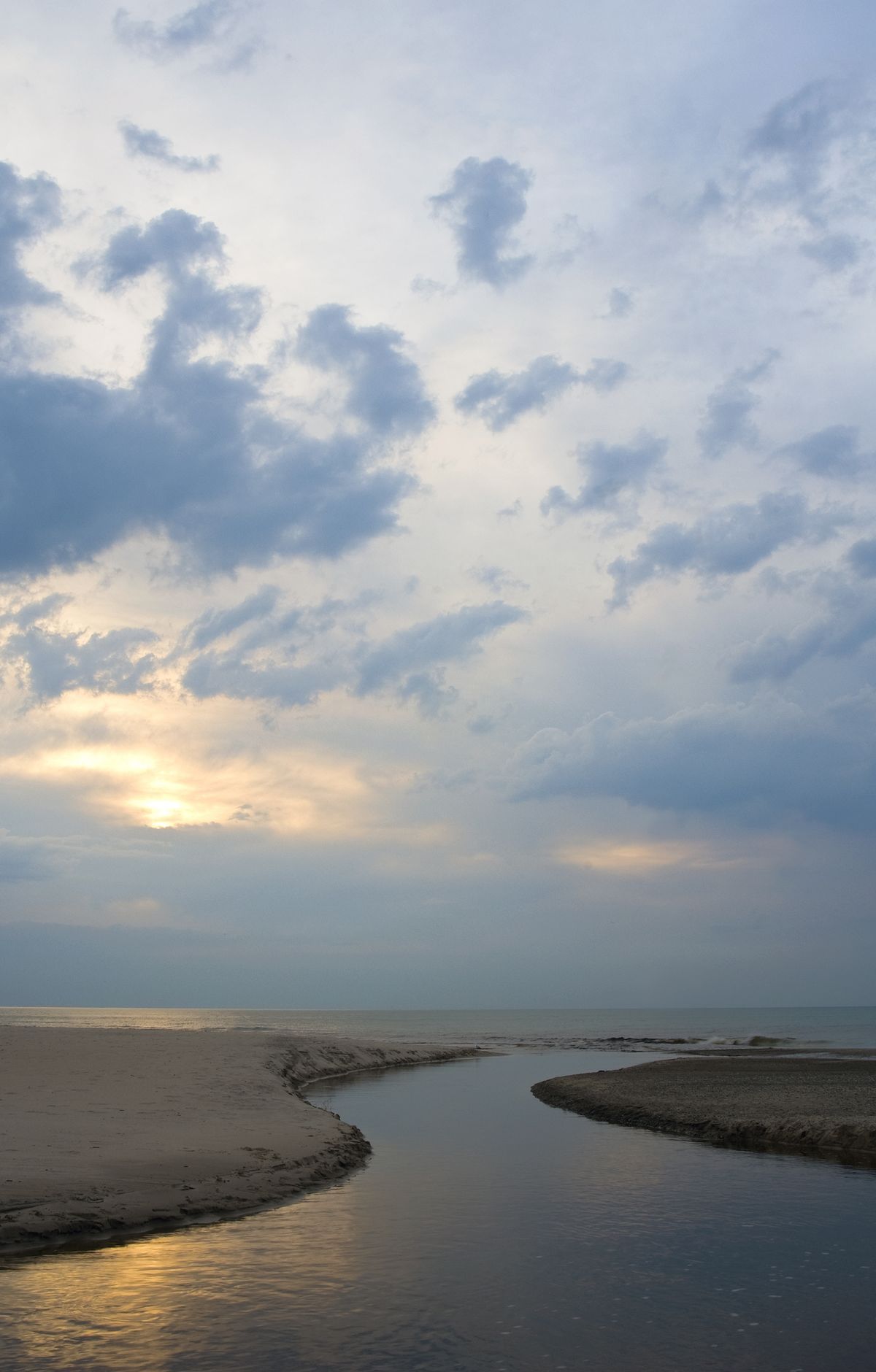 World-Class Birding and the May Migration, Indiana Dunes National Park