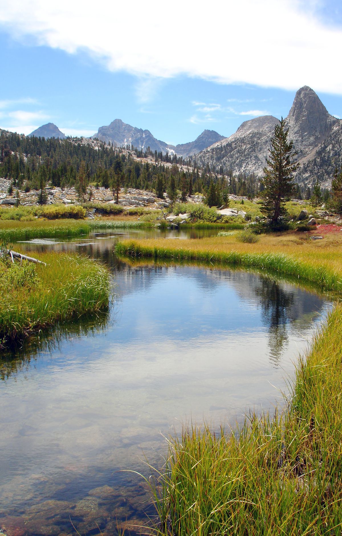 Sequoia & Kings Canyon - Gallery thumbnail 5