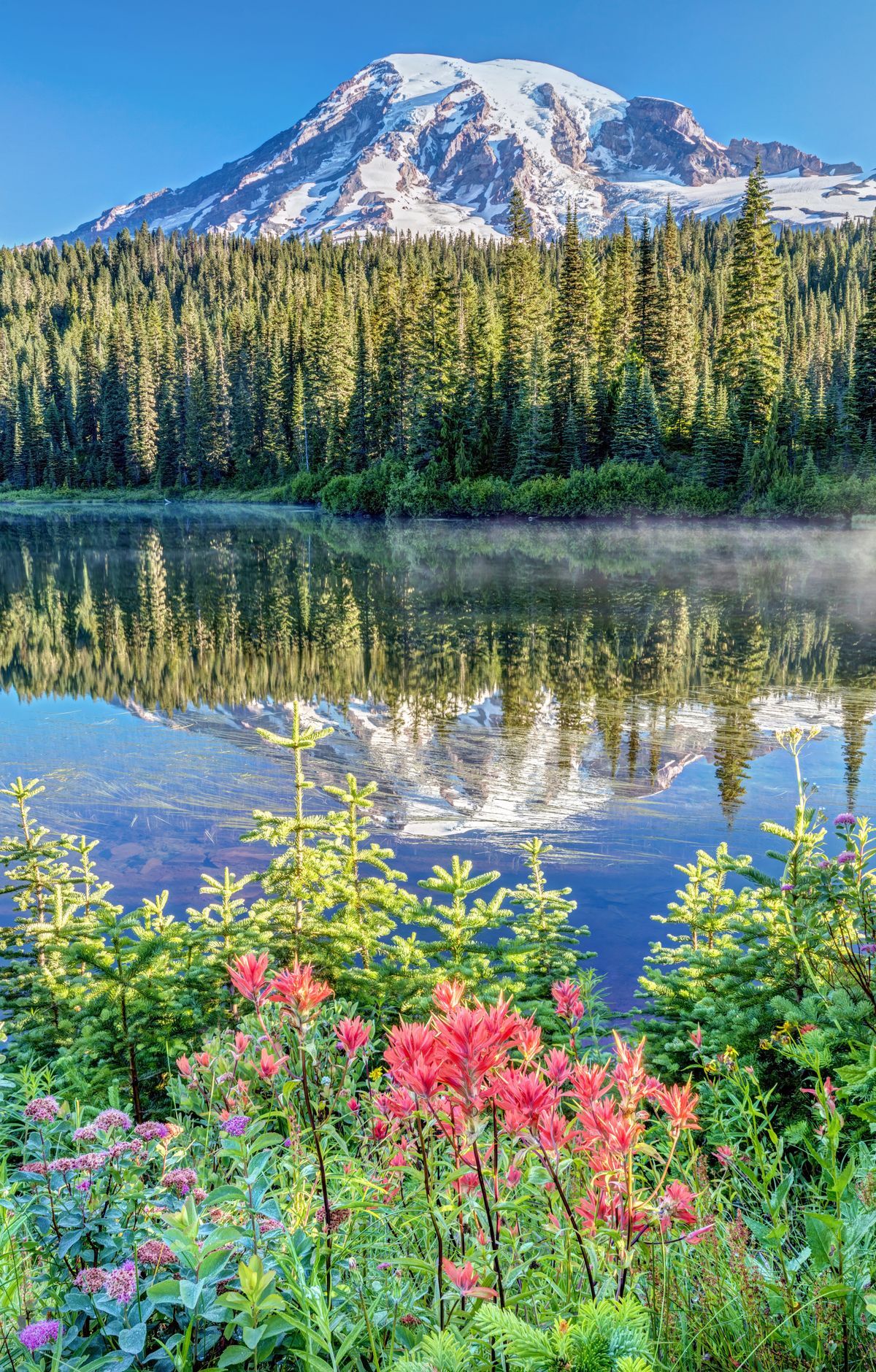 Carbon River and Mowich Lake: The Quiet Northwest, Mount Rainier National Park