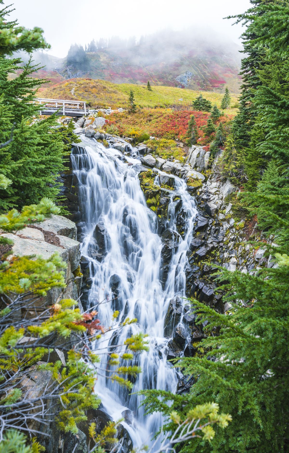 Mount Rainier - Gallery thumbnail 5