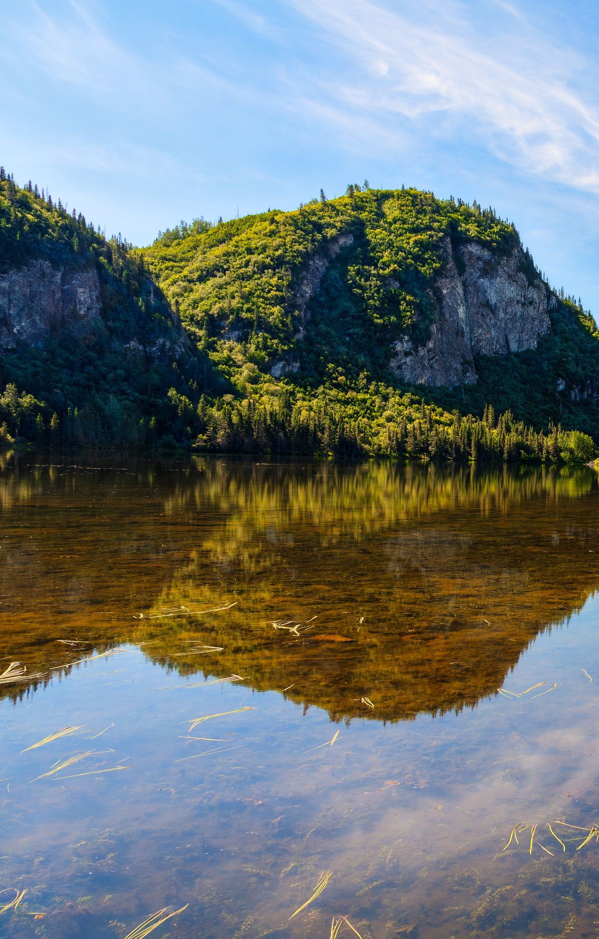 Fishing Three Regions: Salmon to Arctic Grayling, Wrangell - St Elias National Park & Preserve