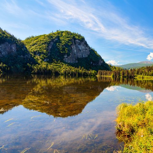 Chitina