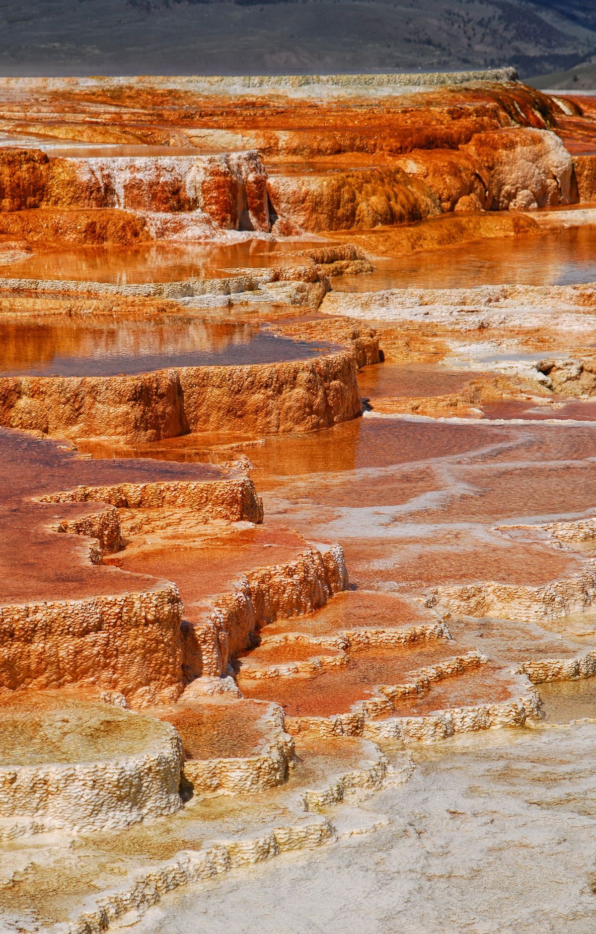 Yellowstone - Gallery thumbnail 7
