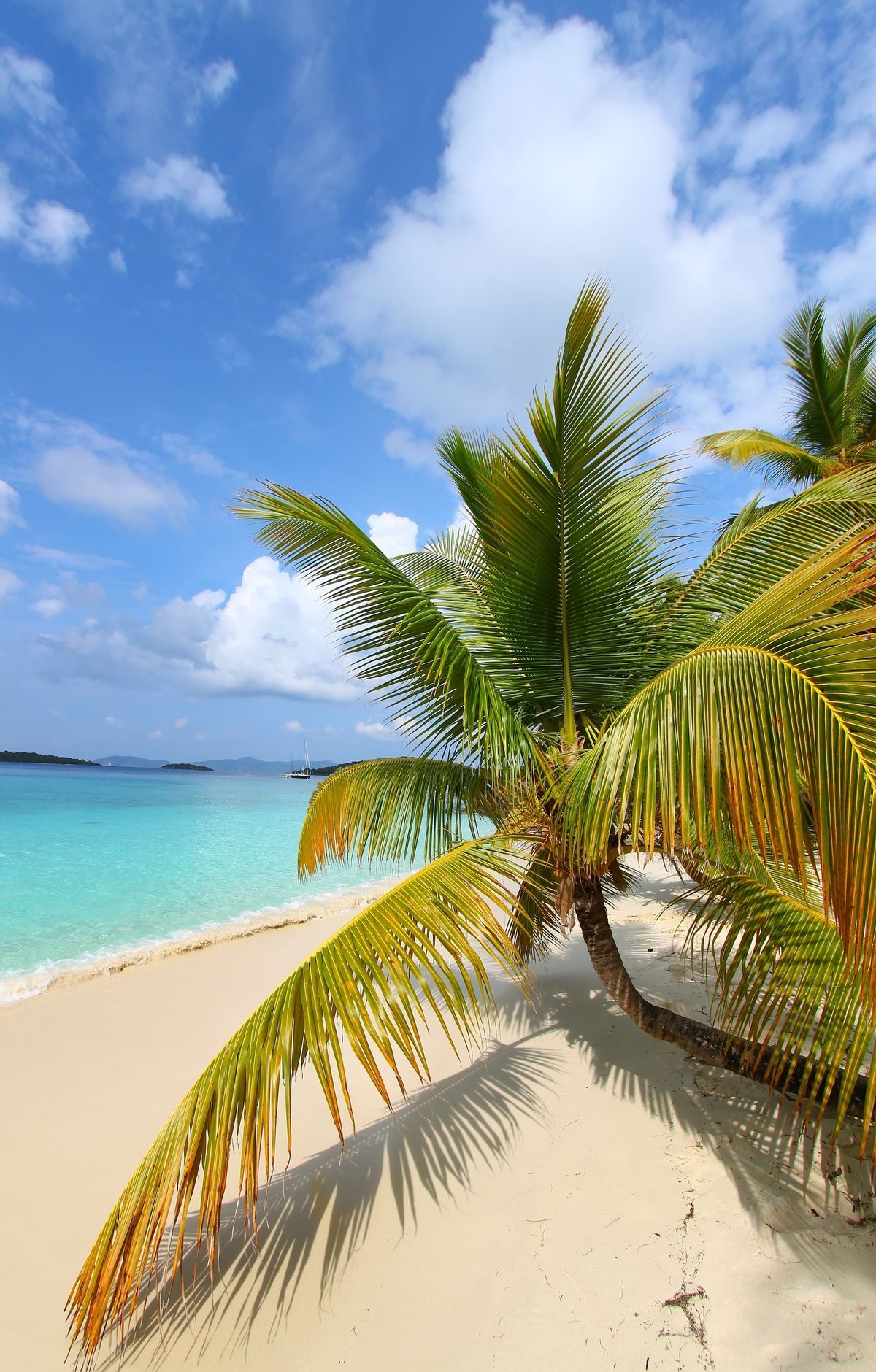 Eco-Tents and Bare Sites at Cinnamon Bay, Virgin Islands National Park