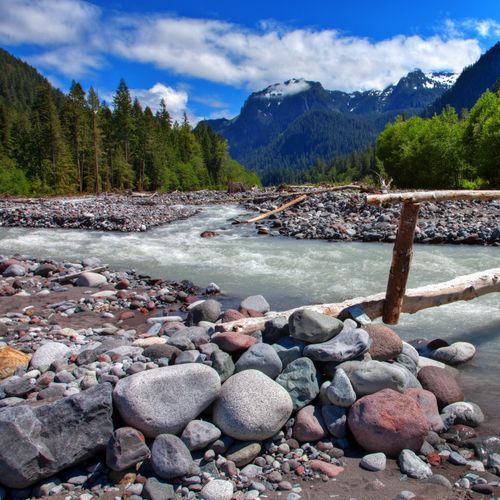 Carbon River