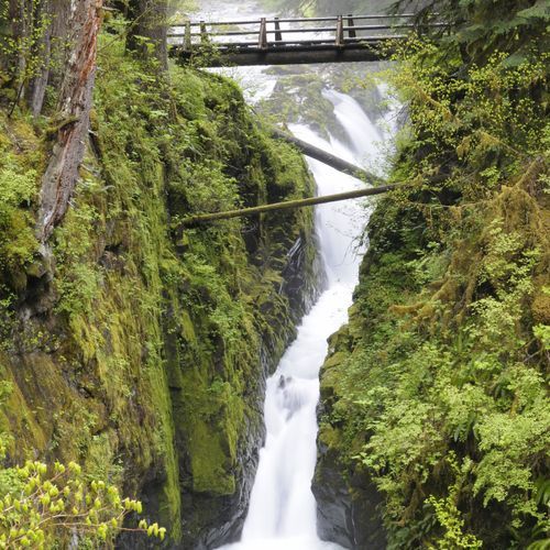 Sol Duc Campground Nature Trail