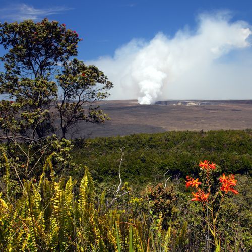 Kīlauea Visitor Center Area