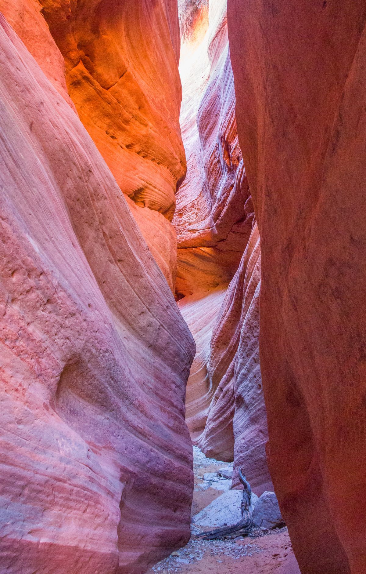 Zion - Gallery thumbnail 2