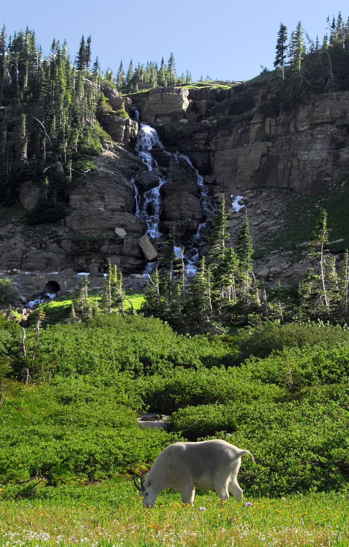Glacier - Gallery thumbnail 8