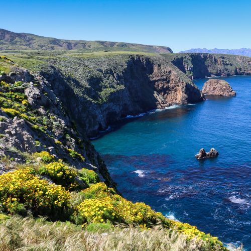 Santa Cruz Island