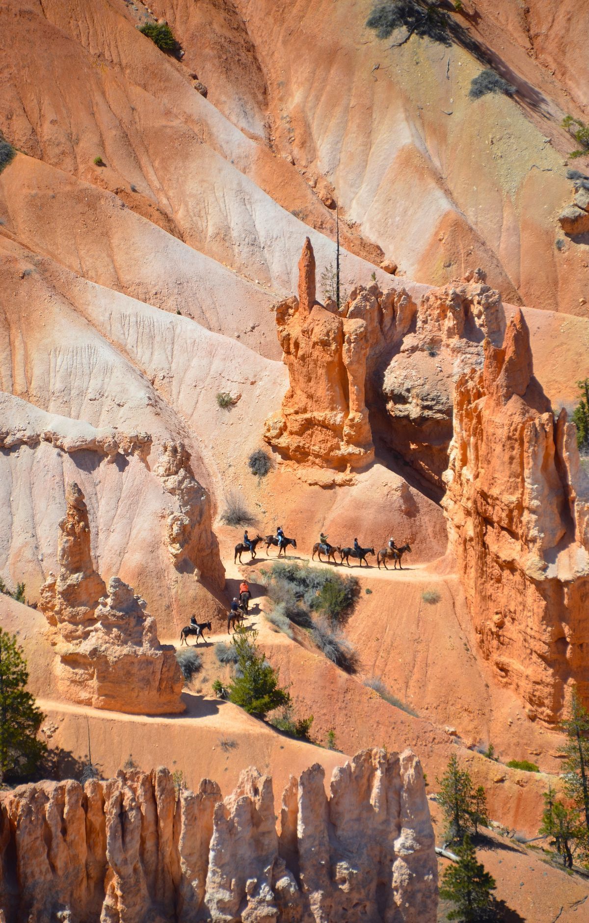 Bryce Canyon - Gallery thumbnail 3