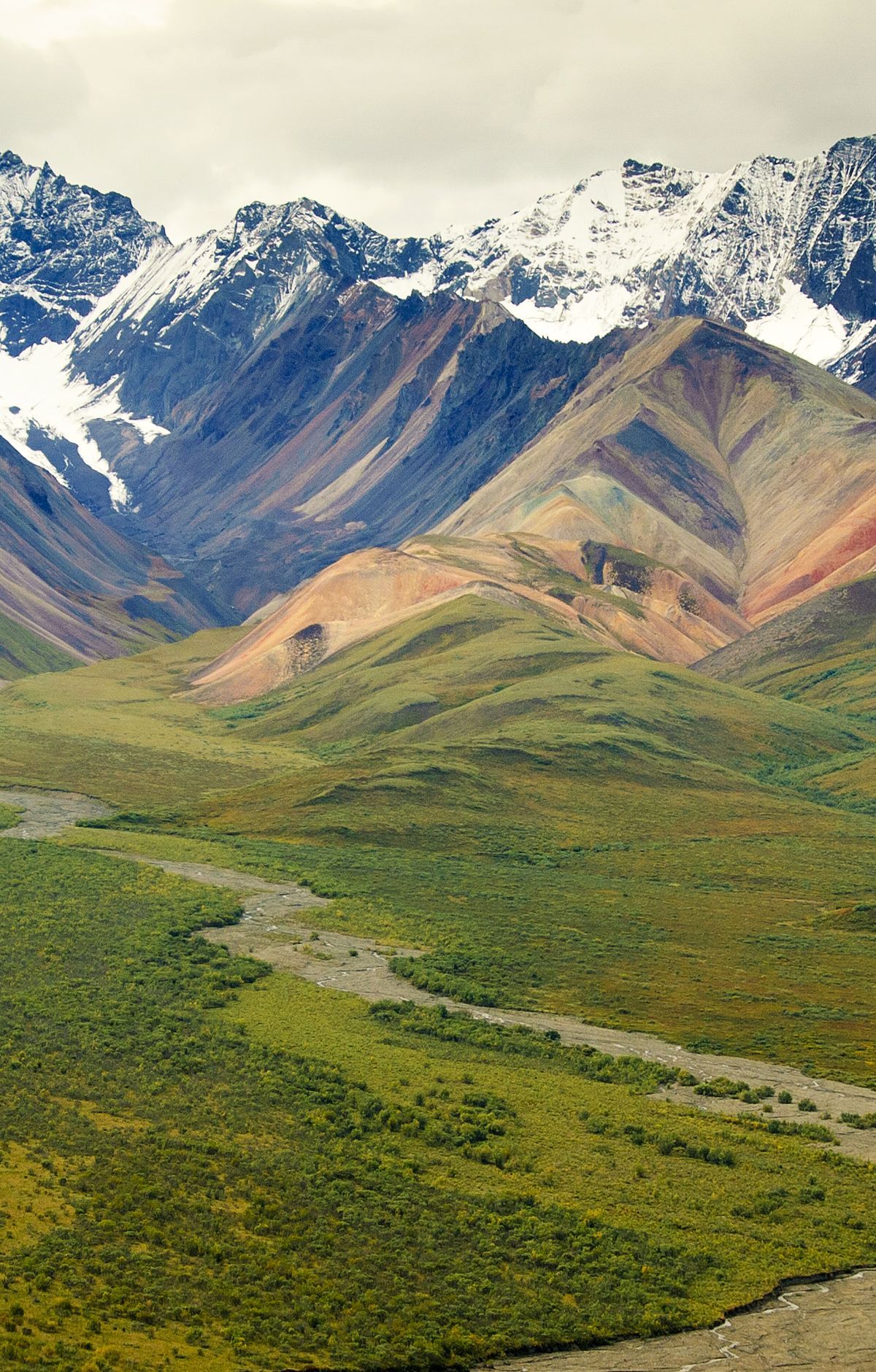 Off-Trail Hiking: Denali's Open Wilderness, Denali National Park & Preserve