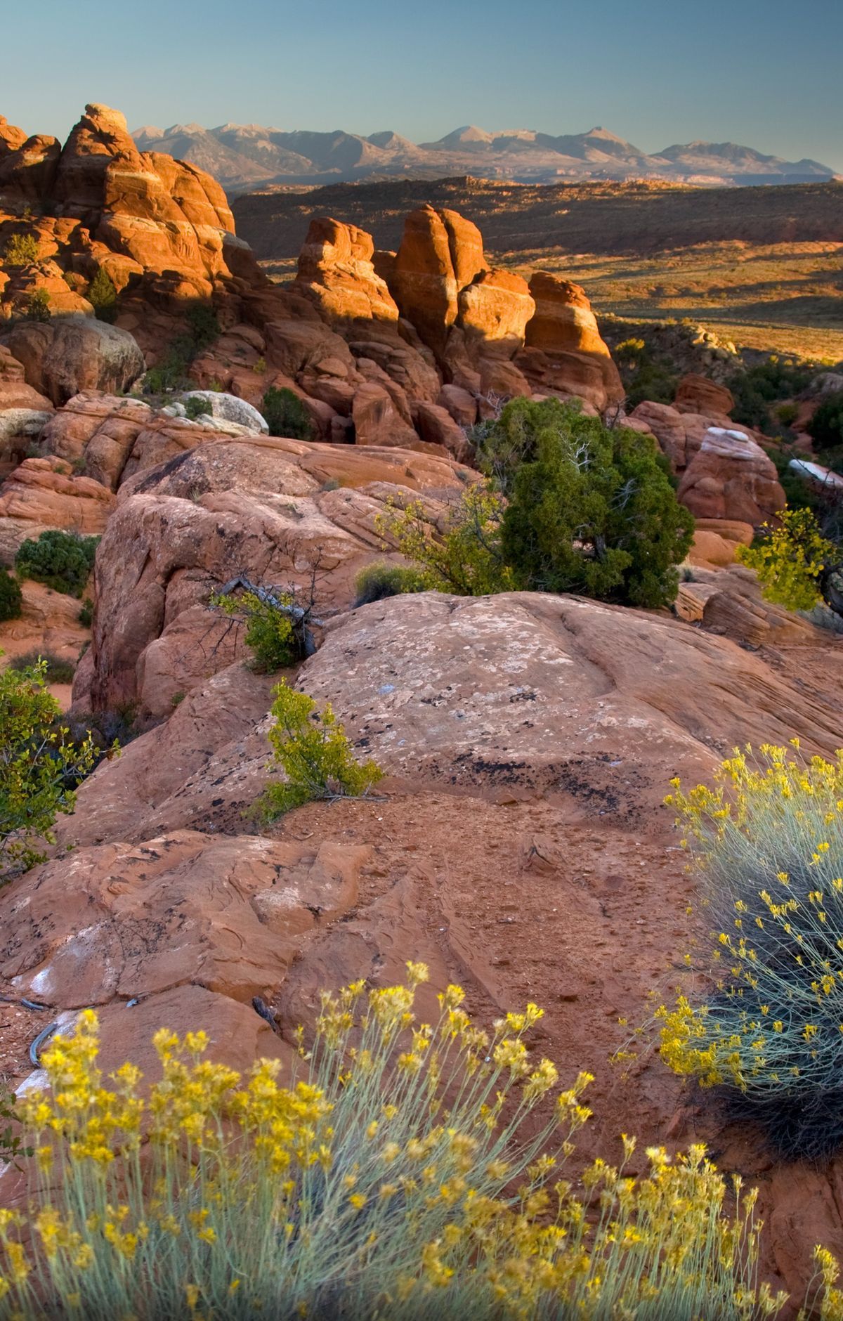 Camping at Devils Garden Campground, Arches National Park