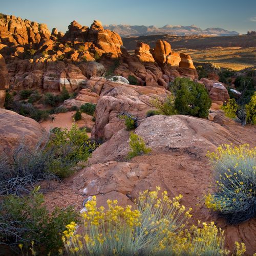 Fiery Furnace