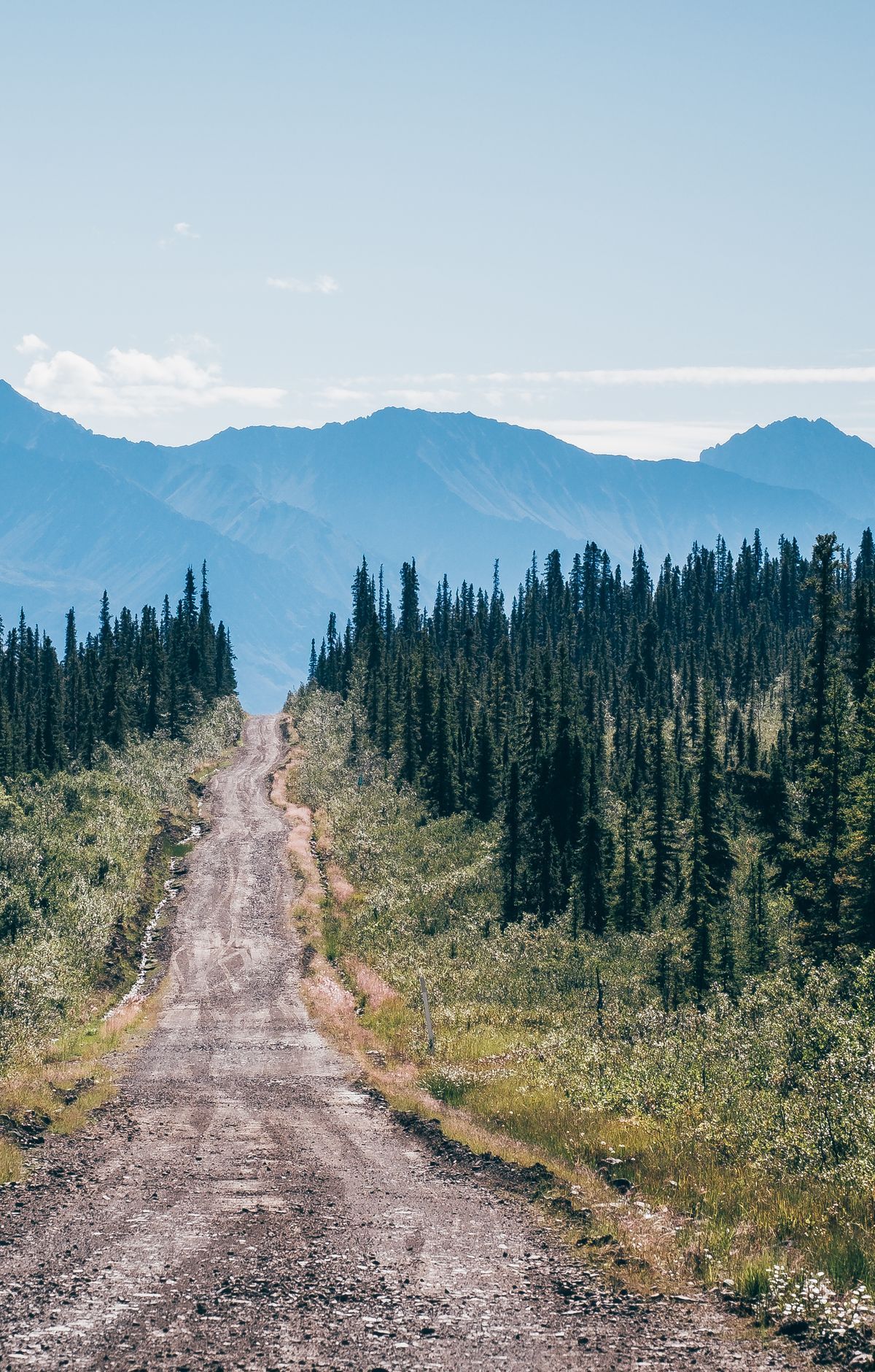 Driving the McCarthy Road to the Footbridge, Wrangell - St Elias National Park & Preserve