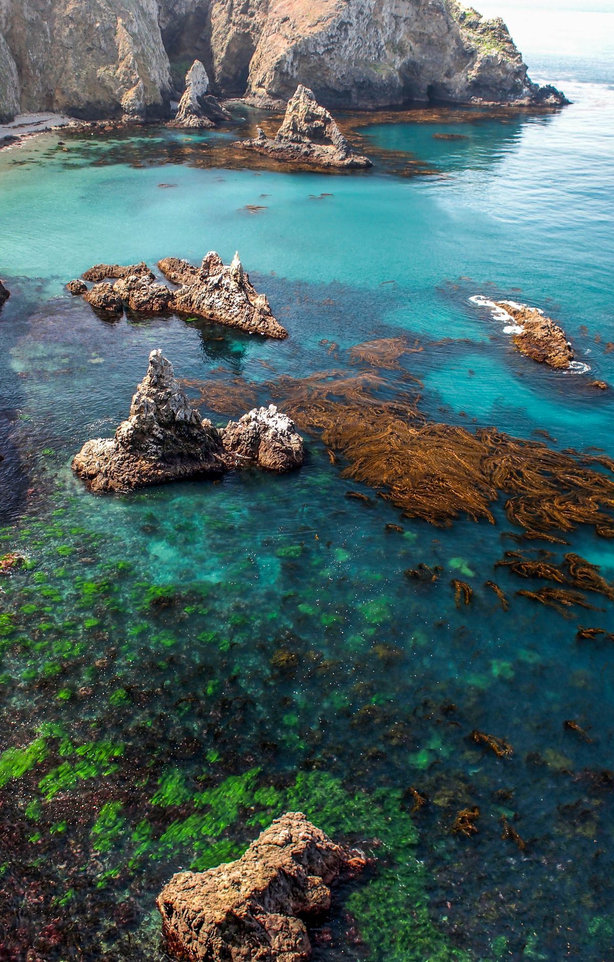 Chumash Names, Tomols and Island Heritage, Channel Islands National Park